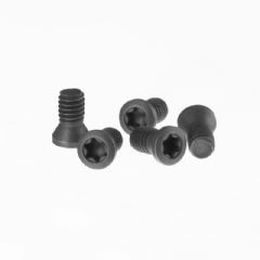 Parafuso Torx M4x8mm para Suporte de Pastilhas - Kit com 5 peças
