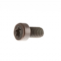 Parafuso torx M4x10C do calço do suporte de rosqueamento