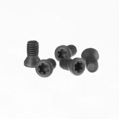Parafuso Torx M4x8mm para Suporte de Pastilhas - Kit com 5 peças