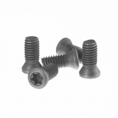 Parafuso Torx M5x12mm para Suporte de Pastilhas - Kit com 5 peças