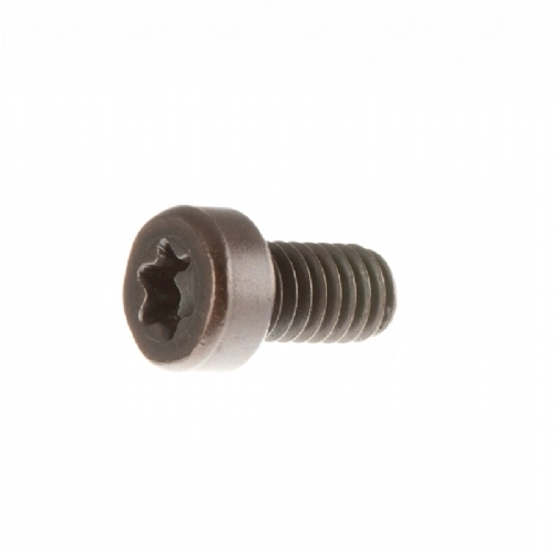 Parafuso da garra de fixacao para Inserto M4x10C Parafuso da garra de fixacao para Inserto M4x10C